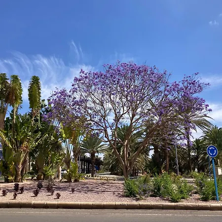 Casa Aloe C. Playitas.