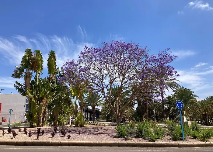 Casa Aloe C. Playitas.